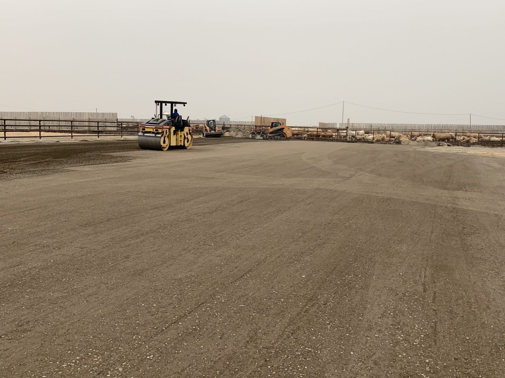 Feedlot Compacted Concrete Agricultural RCC for your feedlot